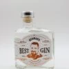 Best Gin