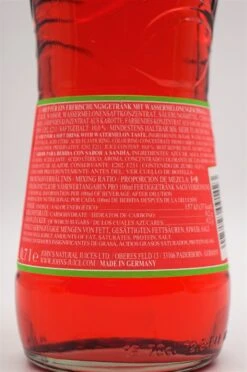 Wassermelone Sirup 6 X Fl. Sparset -Baileys Verkäufe dsc08557
